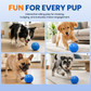 🐶50% OFF NOW! Smart Interactive Bouncing Ball‑Automatic Rolling Moving Dog Toy, USB Rechargeable Indoor Pet Entertainment Ball for Dogs
