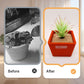 Ceramic Breathable Flower Pot for Indoor & Outdoor