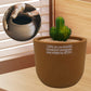 Ceramic Breathable Flower Pot for Indoor & Outdoor