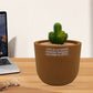 Ceramic Breathable Flower Pot for Indoor & Outdoor
