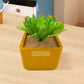 Ceramic Breathable Flower Pot for Indoor & Outdoor