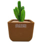 Ceramic Breathable Flower Pot for Indoor & Outdoor