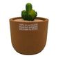 Ceramic Breathable Flower Pot for Indoor & Outdoor