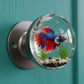 Unique Decorative Door Knob