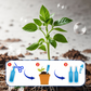 🔥Buy 5 Get 5 FREE💥Multi-Plant Liquid Reviver