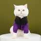 🐶🧥 Warm Jacket with Zipper for Dogs & Cats — Easy On, Easy Off ✨