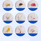 🧴Waterless Down Jacket Stain Remover with Brush