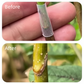 🛠️ Buy 1 Get 1 Free! ✨50pcs Silicone Grafting Sleeves for Fruit Trees