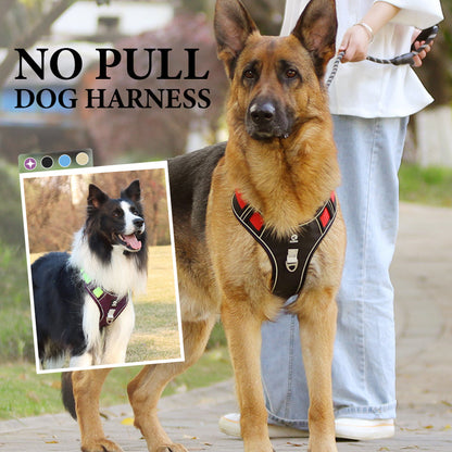 🐕 LIMITED‑TIME 50% OFF! 🦮 No‑Pull Dog Harness Kit with Leash & LED Collar – Escape‑Proof, Breathable Padding & Night Visibility 💡