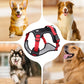 🐕 LIMITED‑TIME 50% OFF! 🦮 No‑Pull Dog Harness Kit with Leash & LED Collar – Escape‑Proof, Breathable Padding & Night Visibility 💡
