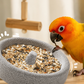 😍Best Sellers 50%OFF🎉2-in-1 Volcanic Rock Bird Food Bowl & Beak Grinder